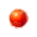 Red Nucleus