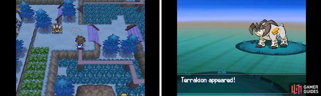 Battle for Terrakion!