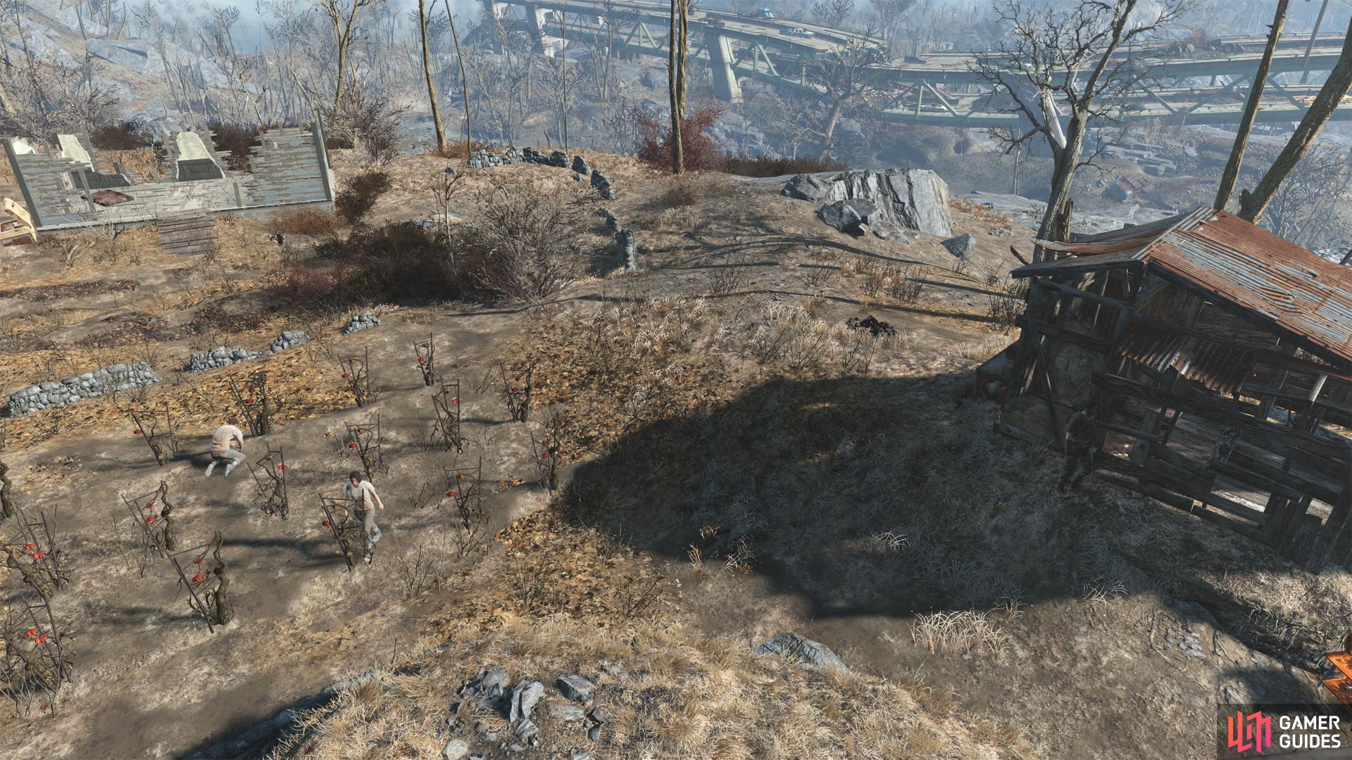 The Tenpines Bluff settlement, before development.