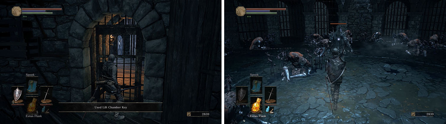 Unlock the gate in High Wall of Lothric to find the Darkwraith.