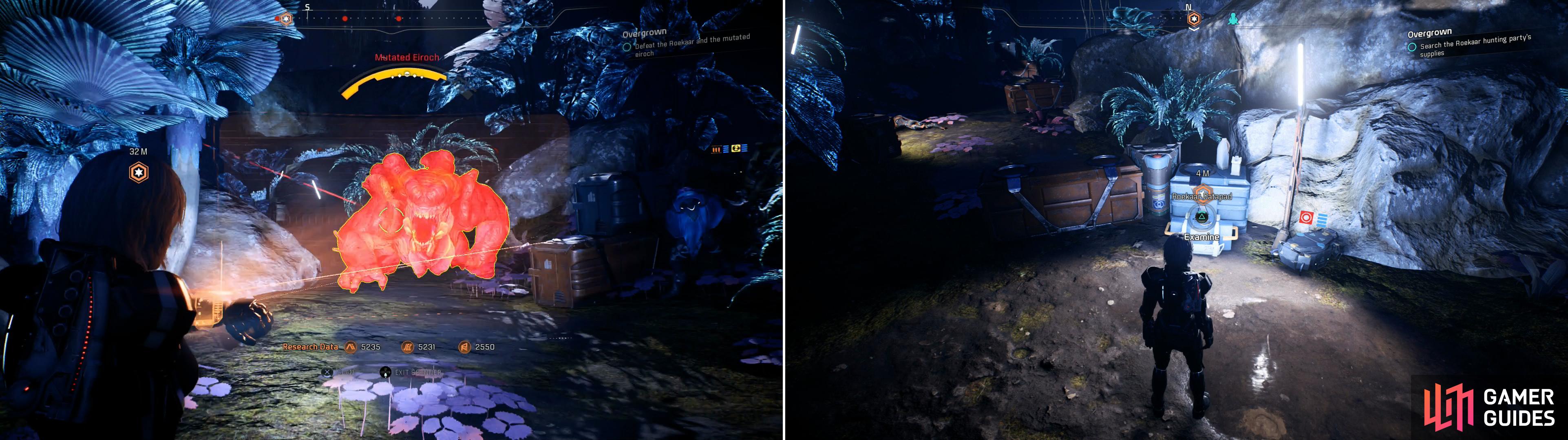 The most dangerous of the beasts is a Mutated Eiroch (left). Kill it and the Roekaar also hunting it, then search their camp for intel, and a Roekaar Datapad (right).