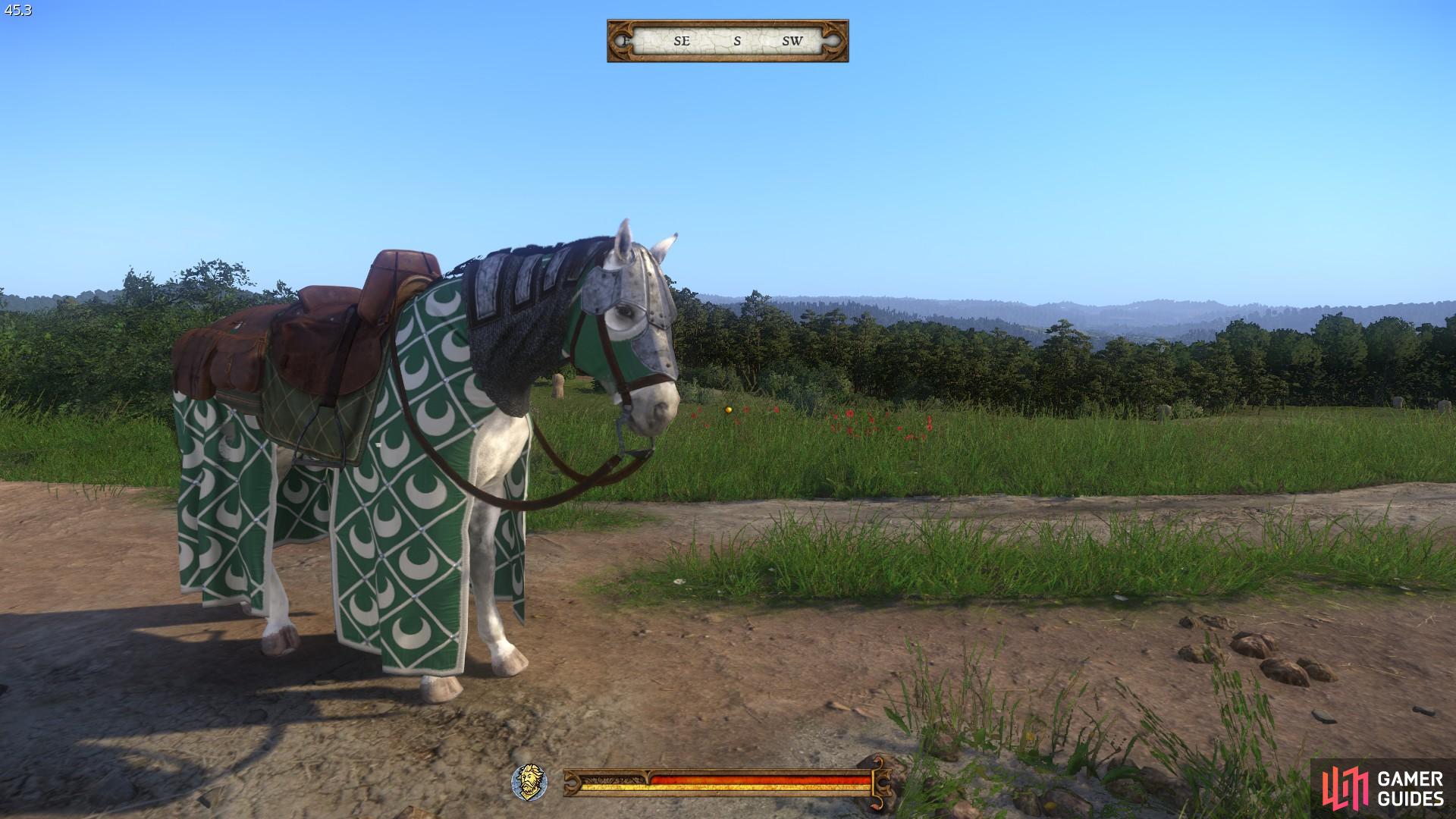 Horse head armour found east of Ledetchko.