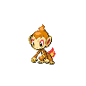 Chimchar.png