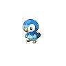 Piplup.png