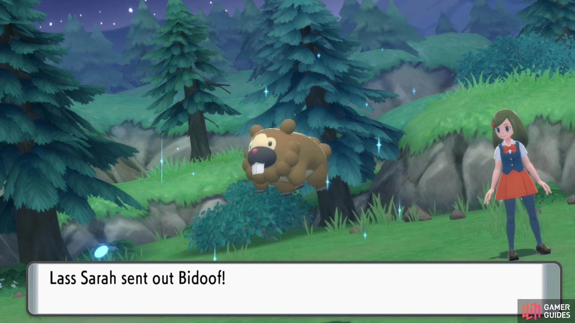 Lass Sarah sends out a Bidoof.