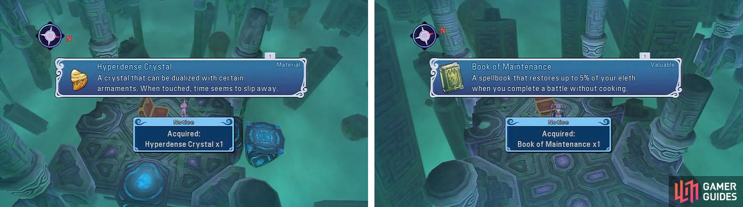 Get the chest before you bump the purple block (left). Make sure you descend for the Book of Maintenance (right), which you can equip to your Eleth Mixer.