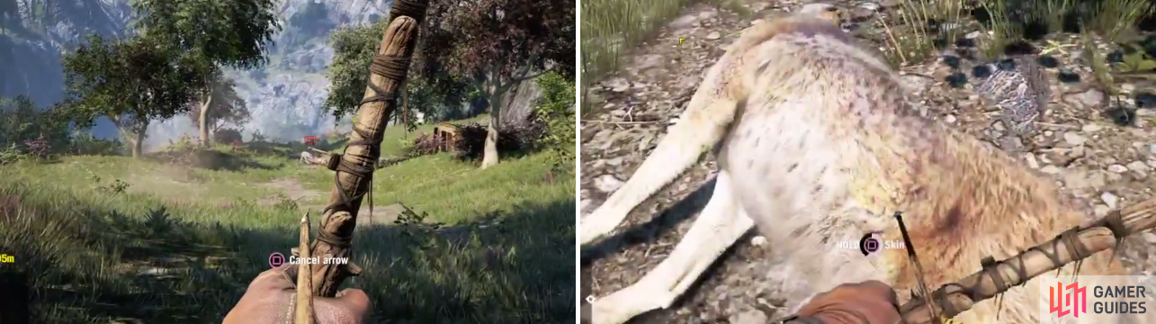 Killing wild animals with a bow or your knife will get you a clean kill bonus, netting you two skins instead of one.