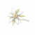 "Delicate Petal" icon