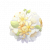 "Florapom" icon