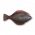 "Flounder" icon