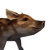 "Boar Shoat" icon