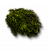 "Hornwort" icon