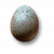 "Egg" icon