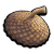 "Acorn Top" icon