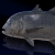 "Giant Trevally" icon