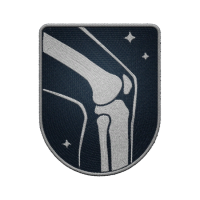 Icon for <span>Crippling - Rank 1</span>