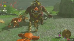 bokoblin_mask_use-d98dfacb.jpg