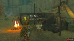 zelda_totk_gerudo_c_059_2-8a030fc2.jpg