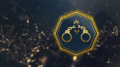 Trophy/Achievement Icon