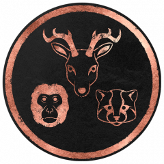 Trophy/Achievement Icon