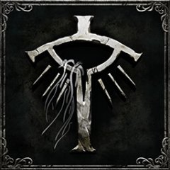 Trophy/Achievement Icon